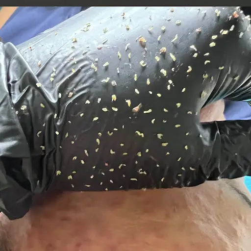 Nhà Hồng Phấn - Spa Massage tại Thạch Hà, Hà Tĩnh