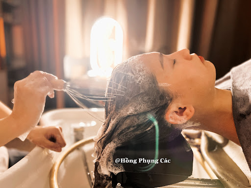 Hồng Phụng Các - Chuỗi gội đầu dưỡng sinh và Massage cổ vai gáy - Long Biên - Gội Đầu Dưỡng Sinh tại Long Biên, Hà Nội
