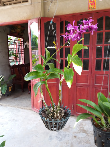 Xoa bóp Khát Vọng người khiếm thị - Spa Massage tại Ba Tri, Bến Tre