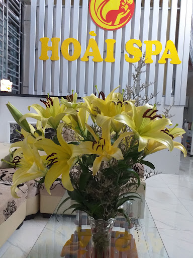 Spa Thu Hoài - Spa Trị Mụn tại An Dương, Hải Phòng