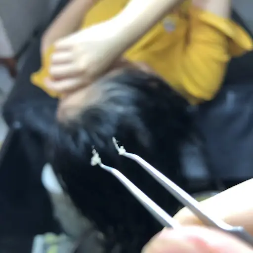 Ánh Nguyệt Spa - Spa Massage tại Bát Xát, Lào Cai