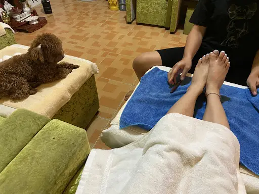 Candle Spa Massage & Nail & Shampoo ( Sunset Town) - Spa Massage tại Phú Quốc, Kiên Giang