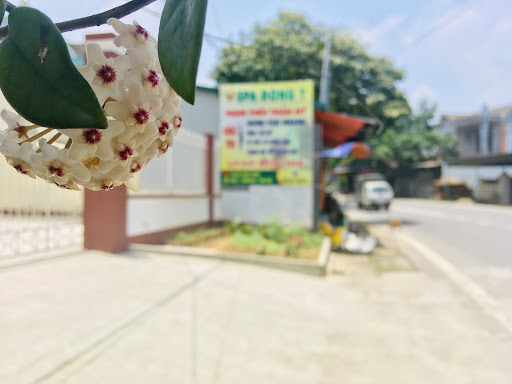 Bích Đào Spa - Địa Chỉ Phun Xăm tại Thanh Ba, Phú Thọ