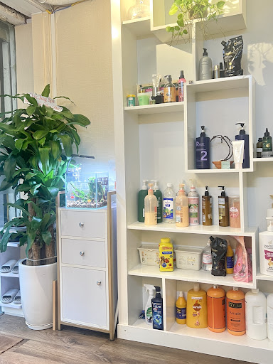 Jang Masage Body & Gội Đầu Dưỡng Sinh - Gội Đầu Dưỡng Sinh tại Thanh Xuân, Hà Nội