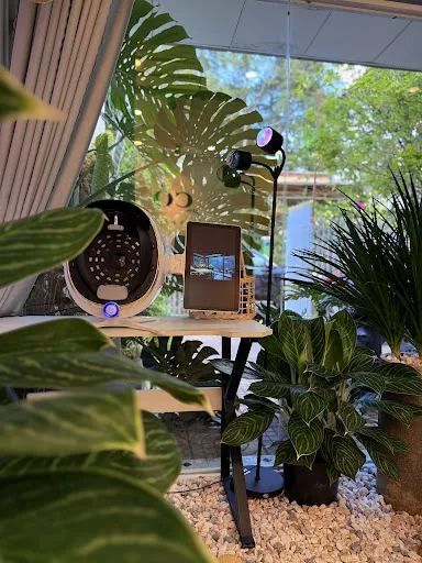 CỎ SPA LONG KHÁNH - Spa Triệt Lông tại Long Khánh, Đồng Nai