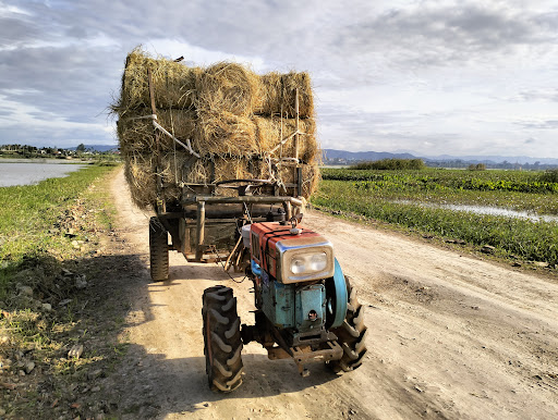 Lượng spa - Spa Triệt Lông tại Krông Ana, Đắk Lắk