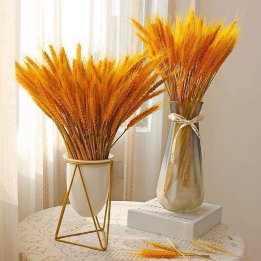 Không gian nội thất tại Bông Lúa Mạch Quận 11