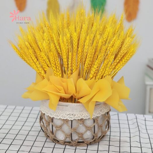 Khách hàng thư giãn tại Bông Lúa Mạch Quận 11