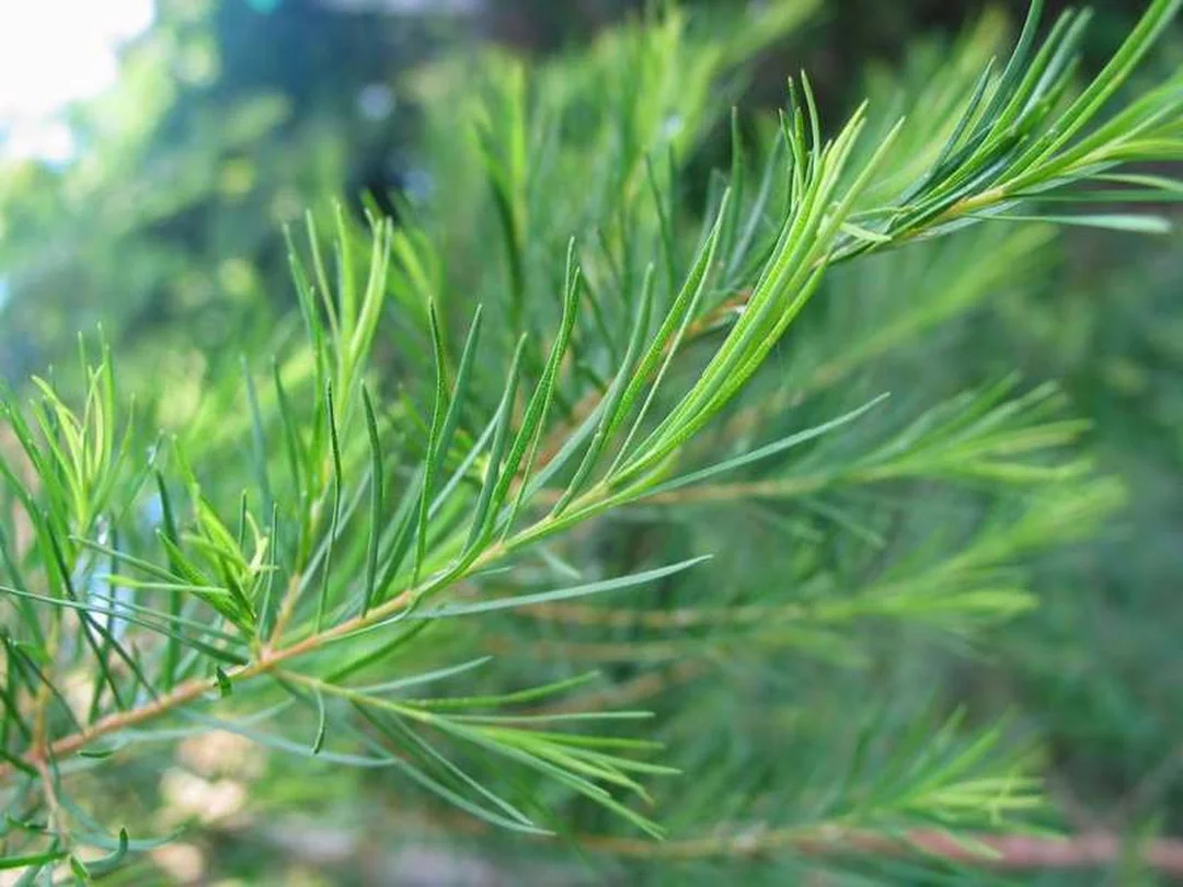 khi nào cần công nghệ điều trị da mụn